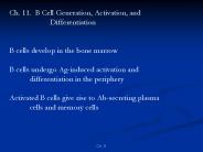 Ch. 11. B Cell Generation, Activation, and