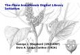 The Flora brasiliensis Digital Library Initiative PowerPoint PPT Presentation