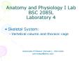 Anatomy and Physiology I Lab BSC 2085L Laboratory 4 PowerPoint PPT Presentation