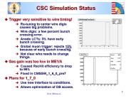 CSC Simulation Status