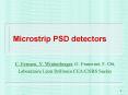 Microstrip PSD detectors PowerPoint PPT Presentation