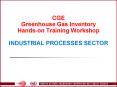 CGE Greenhouse Gas Inventory Hands-on Training Workshop  INDUSTRIAL PROCESSES SECTOR PowerPoint PPT Presentation
