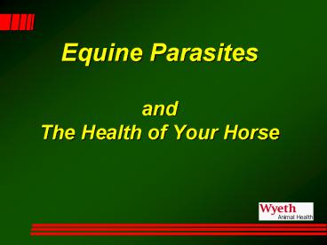 Equine Parasites and The Health of Your Horse