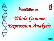 Whole%20Genome%20Expression%20Analysis