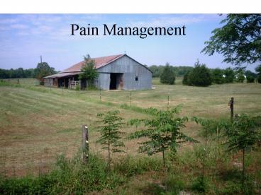 Pain Management