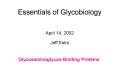 Essentials of Glycobiology April 14, 2002 Jeff Esko PowerPoint PPT Presentation