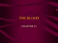 THE BLOOD PowerPoint PPT Presentation
