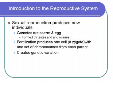 Chapter 28 The Reproductive Systems