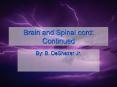 Brain and Spinal cord: Continued PowerPoint PPT Presentation