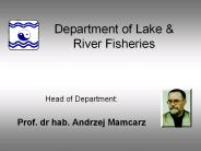 Department of Lake