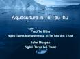 Aquaculture in Te Tau Ihu PowerPoint PPT Presentation