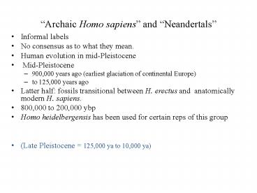 Archaic Homo sapiens and Neandertals