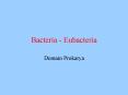 Bacteria - Eubacteria PowerPoint PPT Presentation