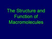 The Structure and Function of Macromolecules