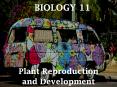 BIOLOGY 11 PowerPoint PPT Presentation