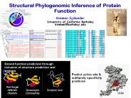 Annotation transfer by homology