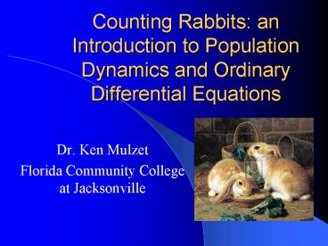 Counting Rabbits: an Introduction to Population Dynamics and Ordinary Differential Equations