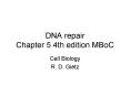 DNA repair Chapter 5 4th edition MBoC PowerPoint PPT Presentation