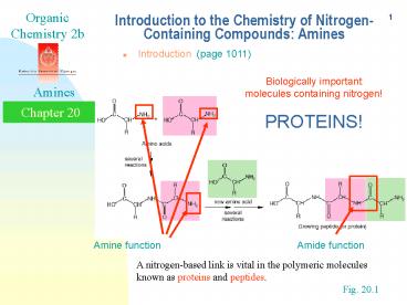 Introduction to the Chemistry of NitrogenContaining Compounds: Amines