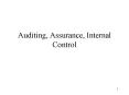 Auditing, Assurance, Internal Control PowerPoint PPT Presentation