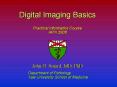 Digital Imaging Basics PowerPoint PPT Presentation