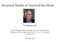 Structural%20Studies%20of%20Amyloid-like%20fibrils