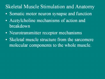 Skeletal Muscle Stimulation and Anatomy