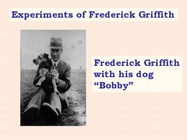 presentation player overlay