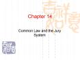 Common Law and the Jury System PowerPoint PPT Presentation