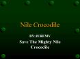 Nile Crocodile PowerPoint PPT Presentation