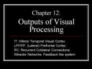 Chapter 12: Outputs of Visual Processing