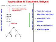 Approaches to Sequence Analysis