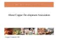 Copper Development Association UK PowerPoint PPT Presentation