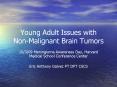 Young Adult Issues with NonMalignant Brain Tumors PowerPoint PPT Presentation