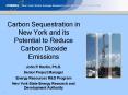 Carbon Sequestration in New York and its Potential to Reduce Carbon Dioxide Emissions PowerPoint PPT Presentation