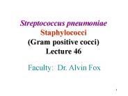 Streptococcus pneumoniae Staphylococci Gram positive cocci Lecture 46