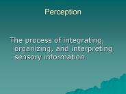 Perception