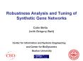 Robustness Analysis and Tuning of Synthetic Gene Networks PowerPoint PPT Presentation