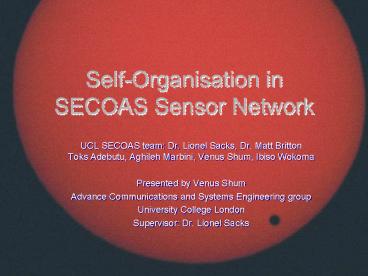 SelfOrganisation in SECOAS Sensor Network