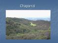 Chaparral PowerPoint PPT Presentation
