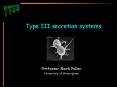 Type III secretion systems PowerPoint PPT Presentation