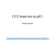 CEX beam test at piE1 Satoshi Mihara