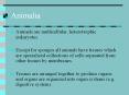 Animalia PowerPoint PPT Presentation