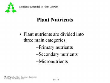 Plant Nutrients