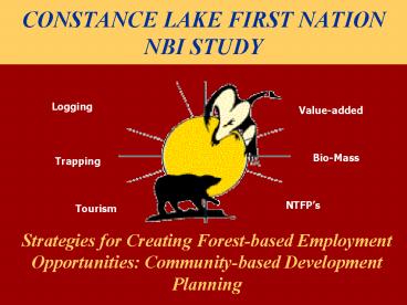 CONSTANCE LAKE FIRST NATION NBI STUDY