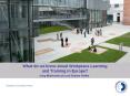 What do we know about Workplace Learning and Training in Europe? PowerPoint PPT Presentation