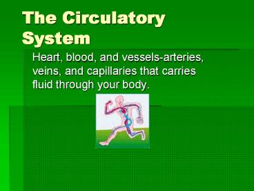 The Circulatory System