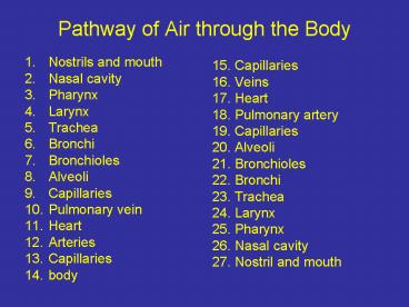 Pathway of Air through the Body