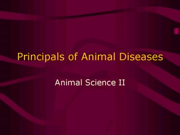 Principals of Animal Diseases