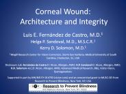 Corneal Wound: Architecture and Integrity